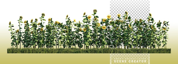 Un'immagine di rendering di piante di girasole nel campo di erba verde