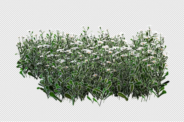 Rendering isometrico di un albero di fiori isolato