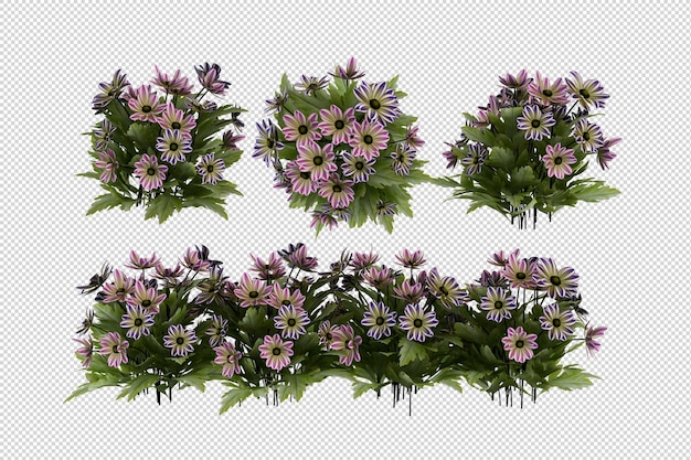 Rendering isometrico di un albero di fiori isolato