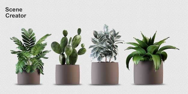 render of isolated plant isometric front view transparent wall