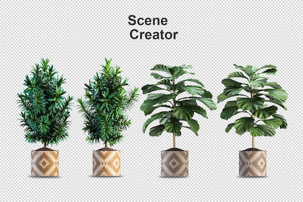 Render of isolated plant isometric