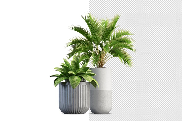 孤立した植物の等角投影のレンダリング