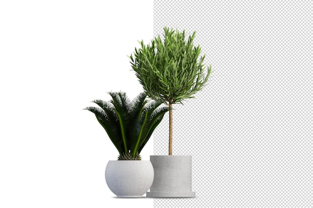 孤立した植物の金属ポットの等角投影正面図のレンダリング