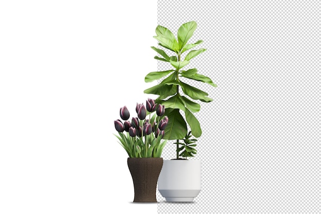 Render of isolated plant metal pot isometric front view transparent