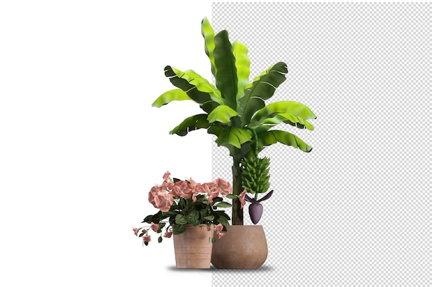 Render of isolated plant metal pot isometric front view transparent