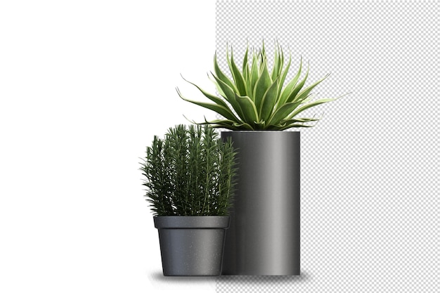 Render of isolated plant metal pot isometric front view transparent