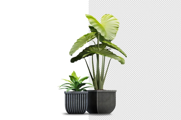 Render of isolated plant metal pot isometric front view transparent