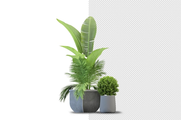 孤立した植物の金属ポットの等角投影正面図のレンダリング