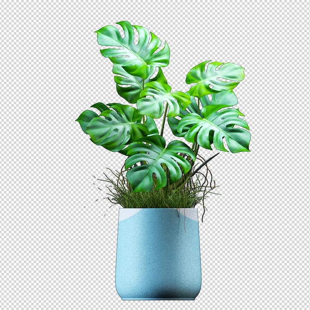 Render of isolated plant metal pot isometric front view transparent