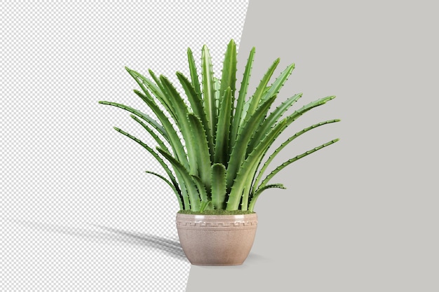 Render of isolated plant in metal pot