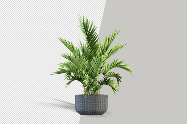 Render of isolated plant in metal pot