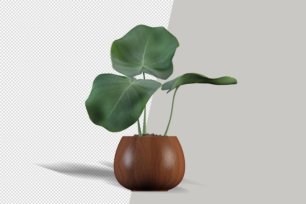 Render of isolated plant in pot isolated