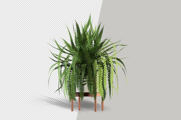 Render of isolated plant in pot isolated