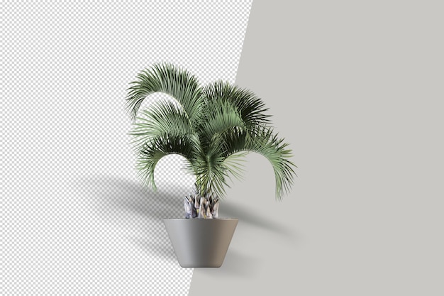 Render of isolated plant in pot