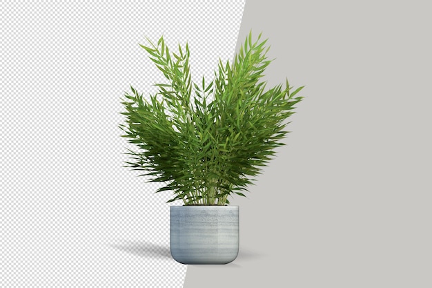 Render of isolated plant in pot