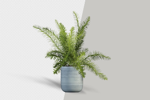 Render of isolated plant in pot