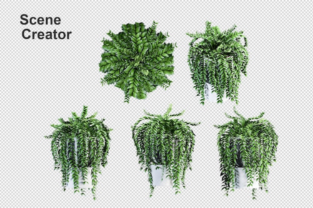Визуализация изолированного растения металлический горшок изометрический вид спереди прозрачный фон премиум 3d