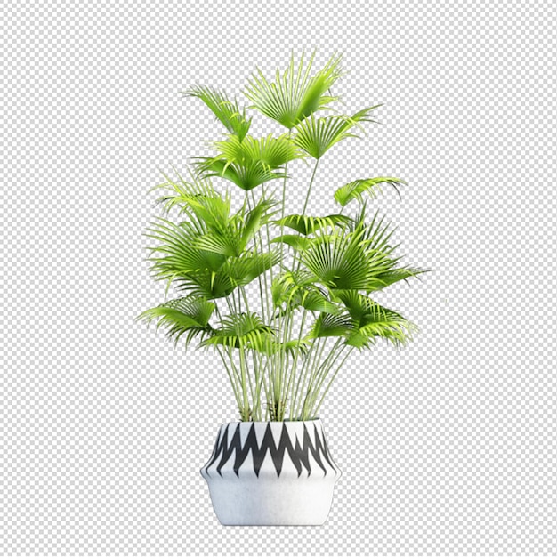 격리 된 식물의 3d 렌더링