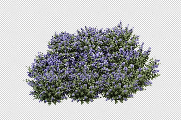 Render van geïsoleerde bloem boom isometrisch