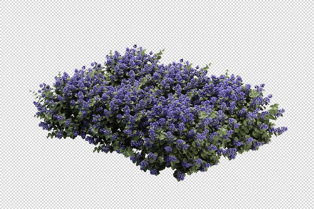 Render van geïsoleerde bloem boom isometrisch
