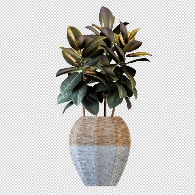 Render van geïsoleerde planten 3d