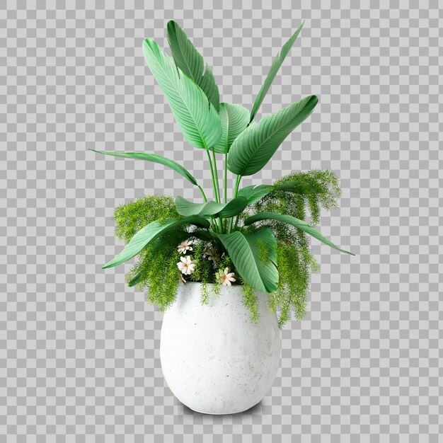 Rendering 3D rośliny izometrycznej
