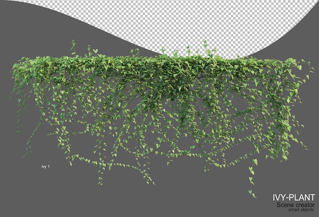 PSD rendering of ivy arrangement variety of styles