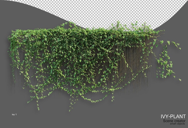 Rendering of ivy arrangement variety of styles