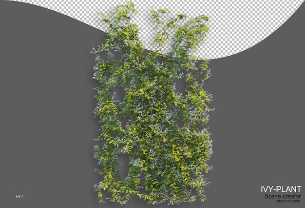 Rendering of ivy arrangement variety of styles