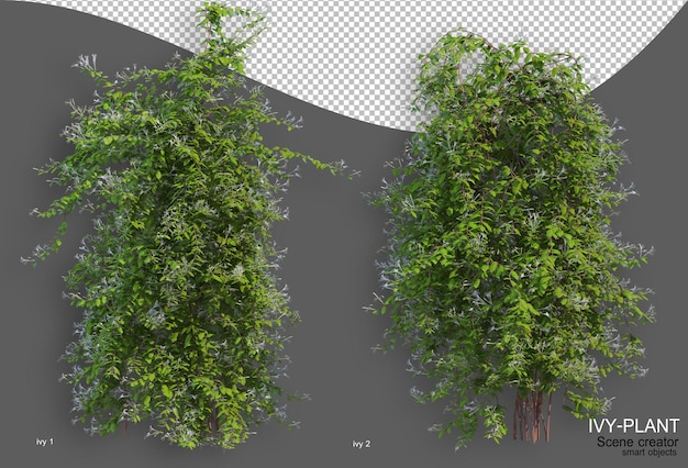 Rendering of ivy arrangement variety of styles