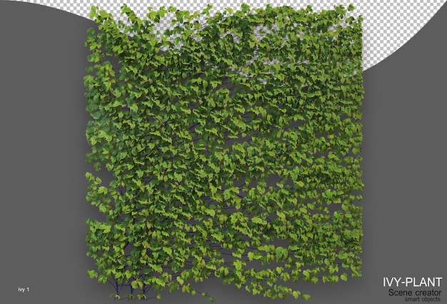 rendering of ivy arrangement variety of styles
