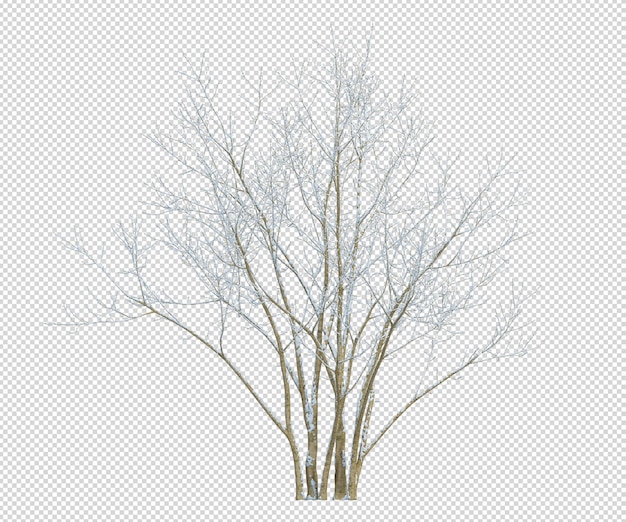 PSD rendering various kinds of winter trees