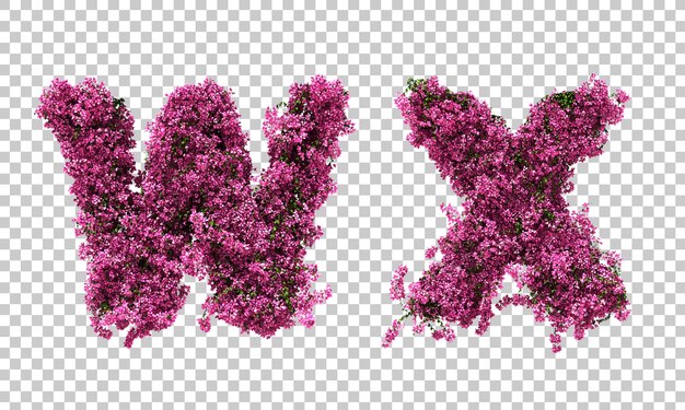 Renderowania 3d Alfabetu Bougainvillea