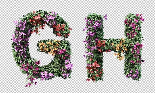 Renderowania 3d Alfabetu Bougainvillea