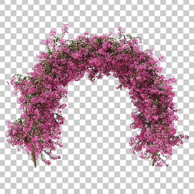 Renderowania 3d Bougainvillea