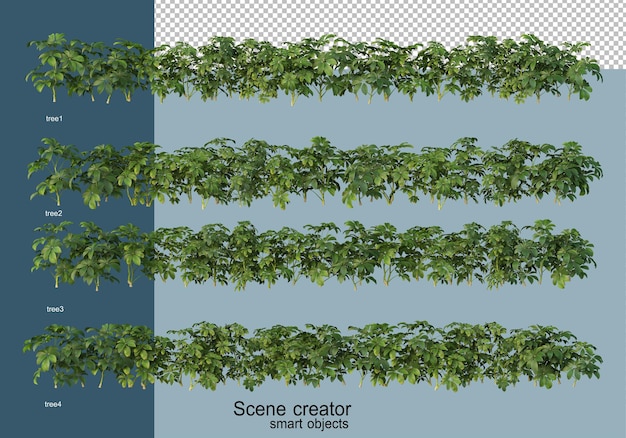 Renderowania 3d Pięknych Drzew Pod Różnymi Kątami Izolowane