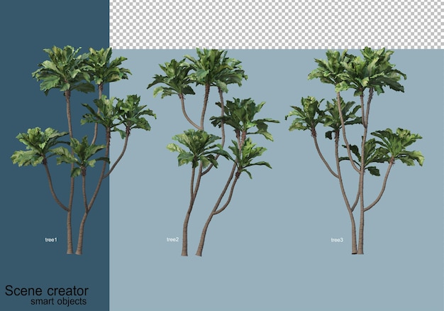Renderowania 3D pięknych drzew pod różnymi kątami izolowane
