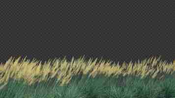 PSD renderowania 3d pierwszego planu cios boulder blue fescue grass