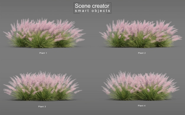 PSD renderowania 3d pink flamingo muhly grass