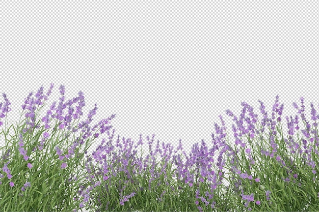 Renderowania 3D renderowania scenerii przyrody
