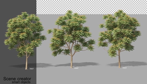 Renderowania 3d Różnych Typów Drzew Na Białym Tle
