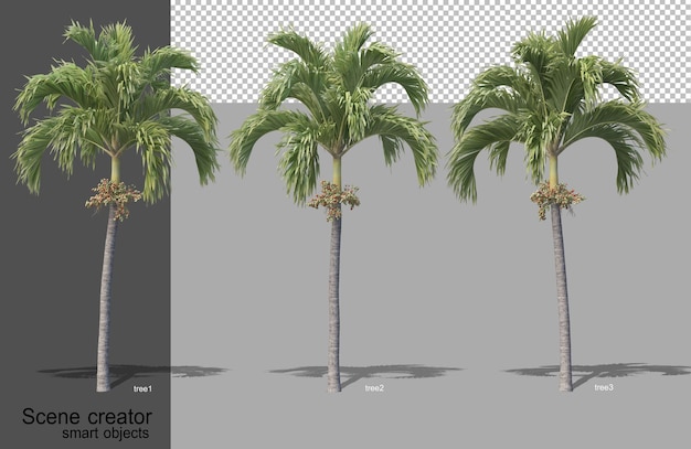 Renderowania 3d Różnych Typów Drzew Na Białym Tle