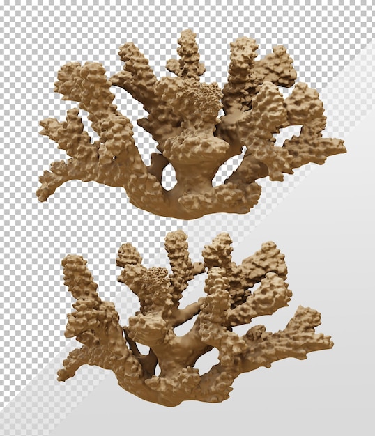 PSD renderowanie 3d bezkręgowców morskich koralowców twardy widok perspektywiczny szkieletu