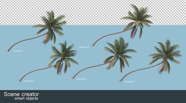 Renderowanie 3d Palm Kokosowych I Palm