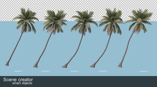 Renderowanie 3D palm kokosowych i palm