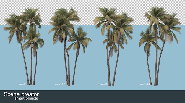 PSD renderowanie 3d palm kokosowych i palm