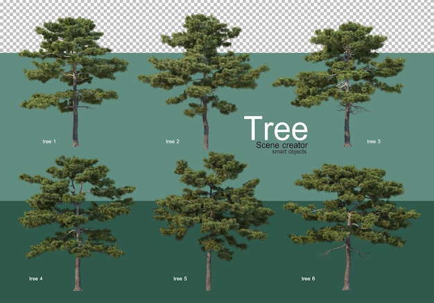 Renderowanie 3d, Różne Rodzaje Układów Drzew
