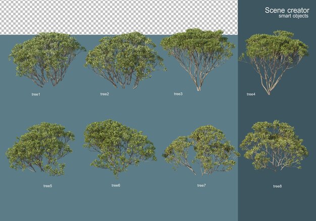 Renderowanie 3D, różne układy drzew