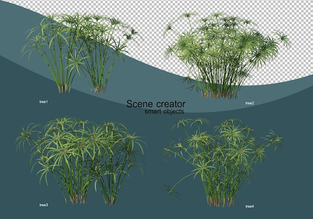 Renderowanie 3d Różnych Projektów Drzew