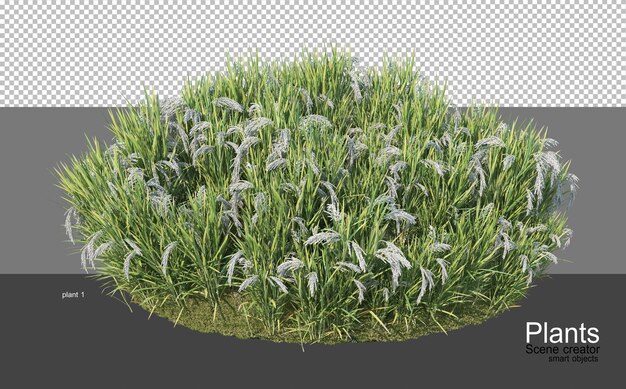 Renderowanie 3d Różnych Rodzajów Agronomii